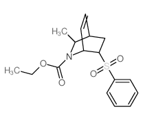 ethyl 6-(benzenesulfonyl)-8-methyl-7-azabicyclo[2.2.2]oct-2-ene-7-carboxylate structure