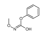 phenyl N-methoxycarbamate Structure