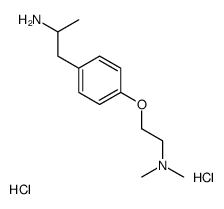 1-[4-[2-(dimethylamino)ethoxy]phenyl]propan-2-amine,dihydrochloride结构式