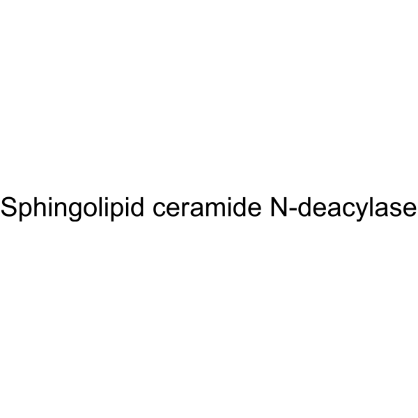 Sphingolipid ceramide N-deacylase Structure