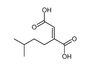 isopentylfumaric acid Structure