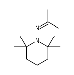 N-(2,2,6,6-tetramethylpiperidin-1-yl)propan-2-imine Structure