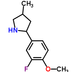 Pyrrolidine, 2-(3-fluoro-4-methoxyphenyl)-4-methyl- (9CI) picture