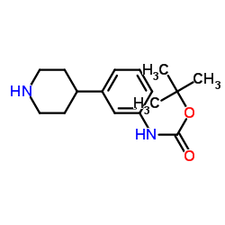 TERT-BUTYL (3-(PIPERIDIN-4-YL)PHENYL)CARBAMATE picture