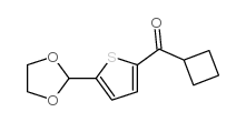 CYCLOBUTYL 5-(1,3-DIOXOLAN-2-YL)-2-THIENYL KETONE图片