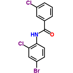 N-(4-Bromo-2-chlorophenyl)-3-chlorobenzamide picture