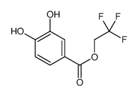 2,2,2-trifluoroethyl 3,4-dihydroxybenzoate Structure