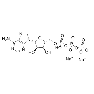 Adenosine 5'-triphosphate disodium salt picture