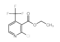 ETHYL 2-CHLORO-4-(TRIFLUOROMETHYL)NICOTINATE图片