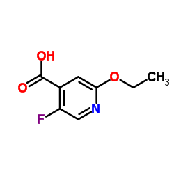 2-Ethoxy-5-fluoroisonicotinic acid结构式