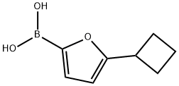 5-(Cyclobutyl)furan-2-boronic acid图片