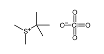 tert-butyl(dimethyl)sulfanium,perchlorate结构式