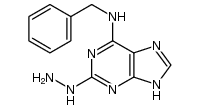 6-benzylamino-2-hydrazinopurine结构式