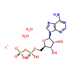 72696-48-1 structure