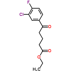 Ethyl 5-(3-chloro-4-fluorophenyl)-5-oxopentanoate结构式