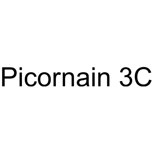 Picornain 3C结构式