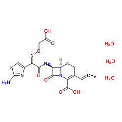 头孢克肟三水合物图片