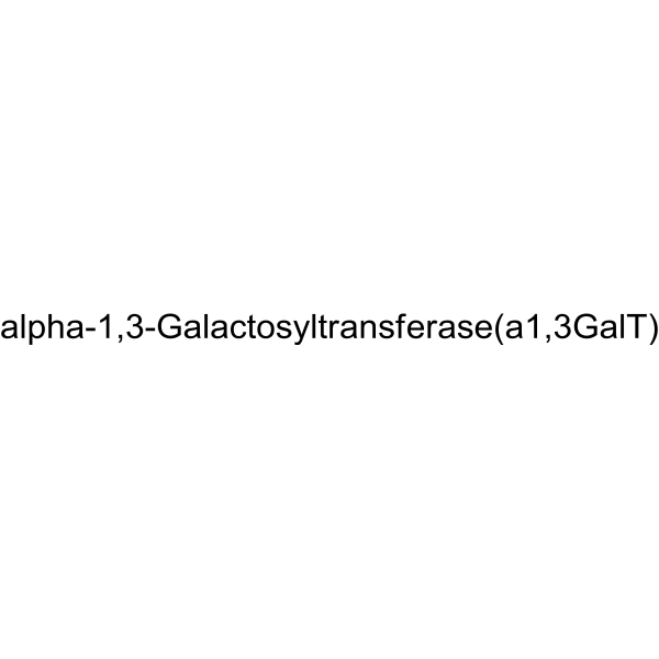 N-acetyllactosaminide 3-α-galactosyltransferase Structure