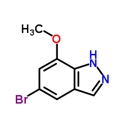 5-bromo-7-methoxy-1H-indazole Structure