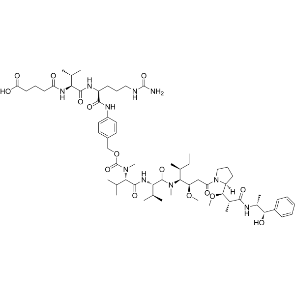 1895916-23-0 structure