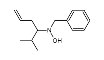 N-benzyl-N-(2-methylhex-5-en-3-yl)hydroxylamine结构式