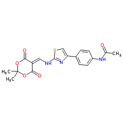 N-[4-(2-{[(2,2-Dimethyl-4,6-dioxo-1,3-dioxan-5-ylidene)methyl]amino}-1,3-thiazol-4-yl)phenyl]acetamide结构式