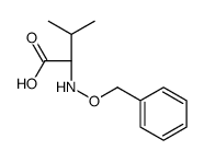 (2S)-3-methyl-2-(phenylmethoxyamino)butanoic acid结构式