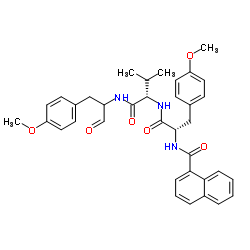 O-Methyl-N-(1-naphthoyl)-L-tyrosyl-N-[1-(4-methoxyphenyl)-3-oxo-2-propanyl]-L-valinamide Structure