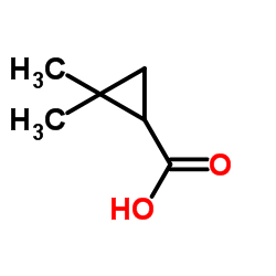 2,2-二甲基环丙甲酸图片