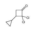 2,2-dichloro-3-cyclopropylcyclobutan-1-one结构式