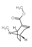 芽子定甲酯结构式