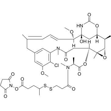 SPP-DM1 structure