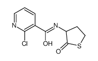 2-chloro-N-(2-oxothiolan-3-yl)pyridine-3-carboxamide结构式