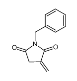 1-benzyl-3-methylene-pyrrolidine-2,5-dione结构式