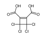 3,3,4,4-tetrachlorocyclobut-1-ene-1,2-dicarboxylic acid Structure