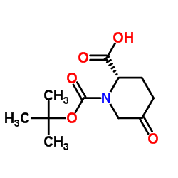 (2S)-1-[(2-methylpropan-2-yl)oxycarbonyl]-5-oxopiperidine-2-carboxylic acid structure