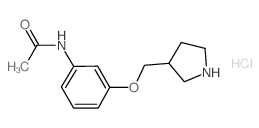 N-[3-(3-Pyrrolidinylmethoxy)phenyl]acetamide hydrochloride Structure