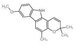 koenimbine picture