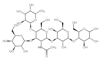 Lacto-N-Fucopentaose II picture