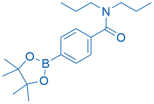 N,N-二丙基-4-(4,4,5,5-四甲基-1,3,2-二氧硼杂环戊烷-2-基)苯甲酰胺结构式