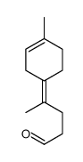 corps popinal structure