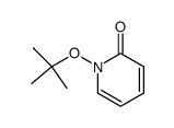 N-tert-butoxy-2-pyridone Structure