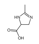 2-methyl-4,5-dihydro-1H-imidazole-5-carboxylic acid Structure