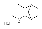 methyl-(2-methyl-3-bicyclo[2.2.1]heptanyl)azanium,chloride Structure