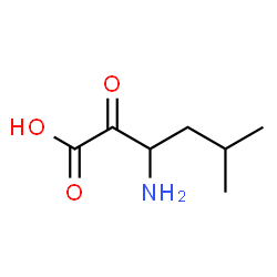 Hexanoic acid,3-amino-5-methyl-2-oxo- picture