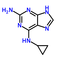 N6-Cyclopropyl-3H-purine-2,6-diamine structure