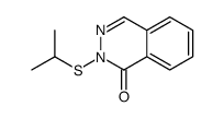 2-propan-2-ylsulfanylphthalazin-1-one Structure