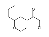 Ethanone, 2-chloro-1-(tetrahydro-2-propyl-2H-pyran-4-yl)- (9CI) structure