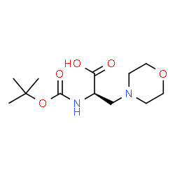 N-{[(2-Methyl-2-propanyl)oxy]carbonyl}-3-(4-morpholinyl)-D-alanine结构式