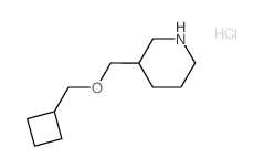 Cyclobutylmethyl 3-piperidinylmethyl ether hydrochloride结构式